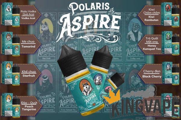 POLARIS Juice