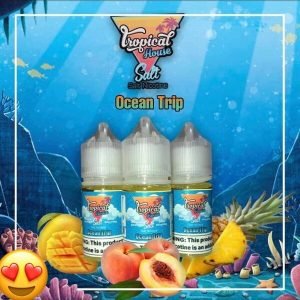 Tropical-House-Salt-Juice-dua-xoai-dao